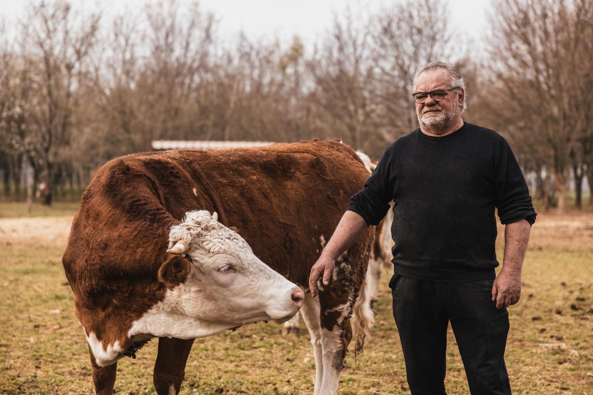 Agriturismo Borg Da Ocjs Медеа Экстерьер фото